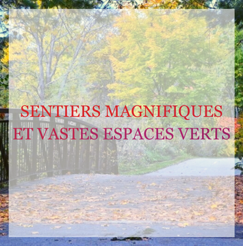 EXPANSIVE GREEN SPACE